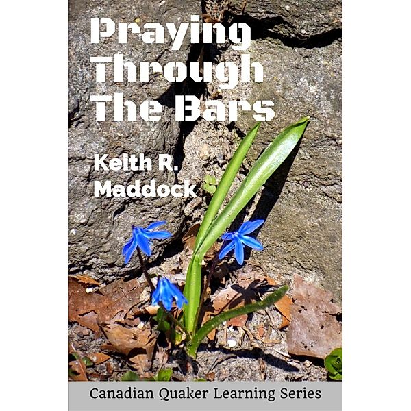 PrayingThrough the Bars: A Pastoral Testimony For Prison Visitors, Keith Robert Maddock