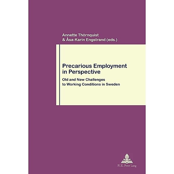 Precarious Employment in Perspective