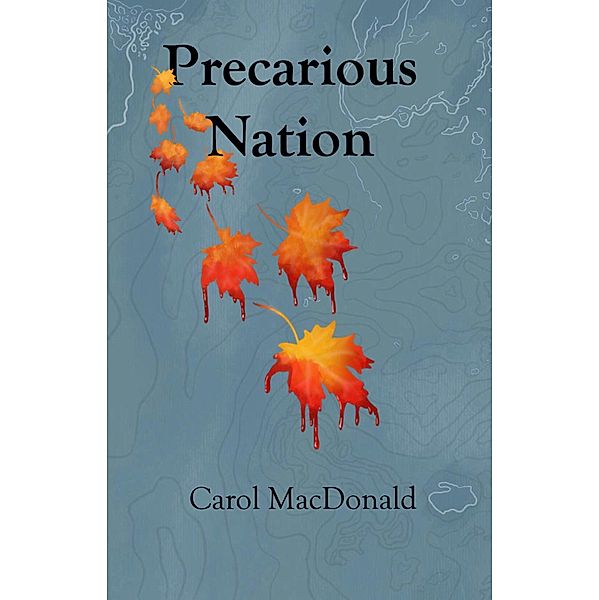 Precarious Nation, Carol Macdonald