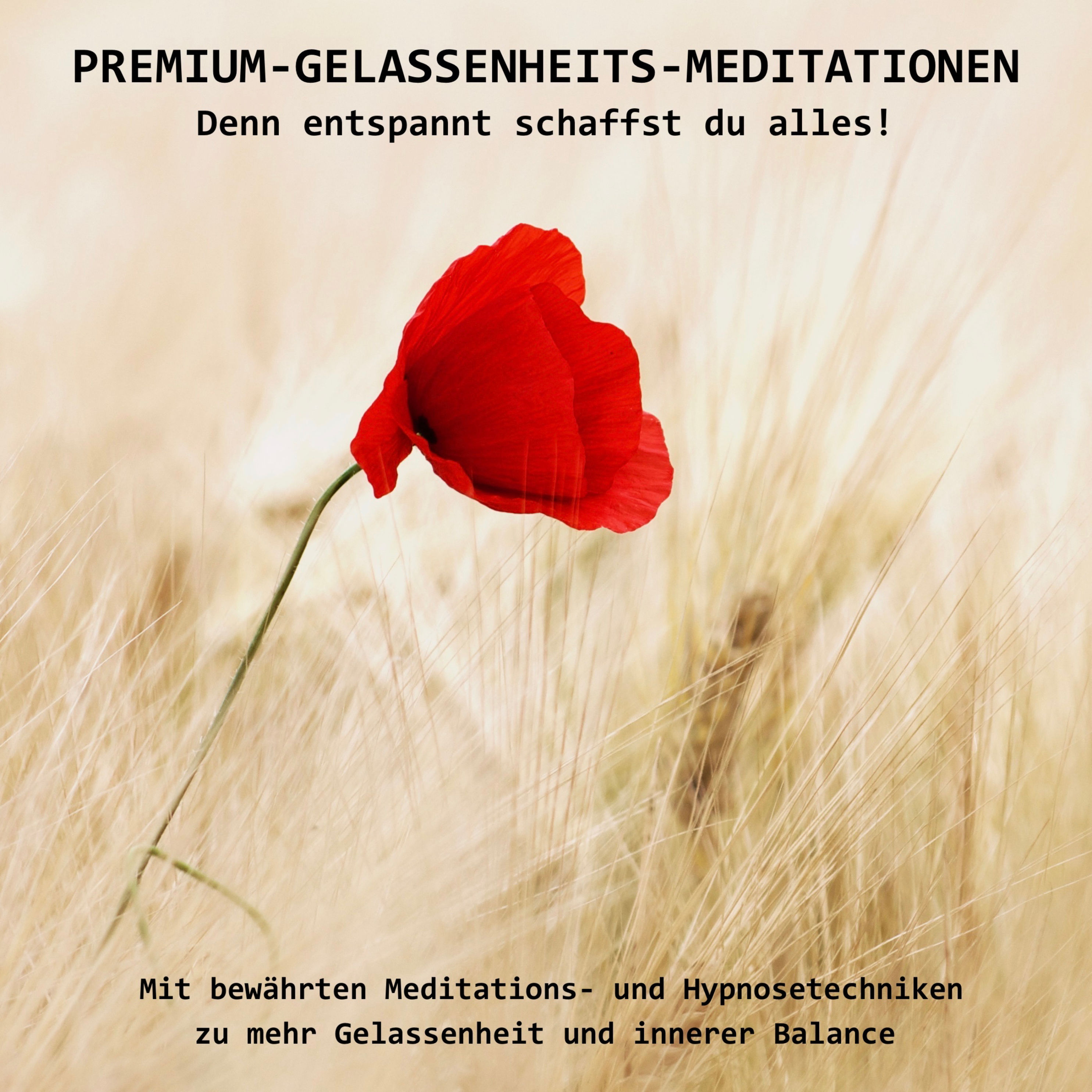 PREMIUM-GELASSENHEITS-MEDITATIONEN: Denn entspannt schaffst Du alles!  Hörbuch Download