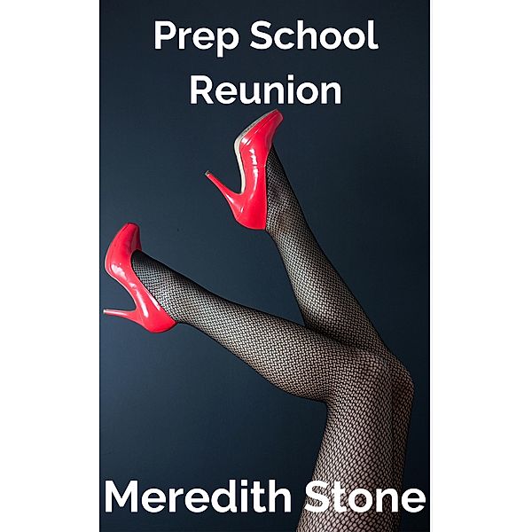 Prep-School Reunion (St. Bernard's, #1) / St. Bernard's, Meredith Stone