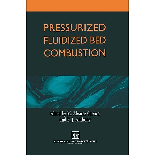 Pressurized Fluidized Bed Combustion, M. Alvarez Cuenca, E. J. Anthony