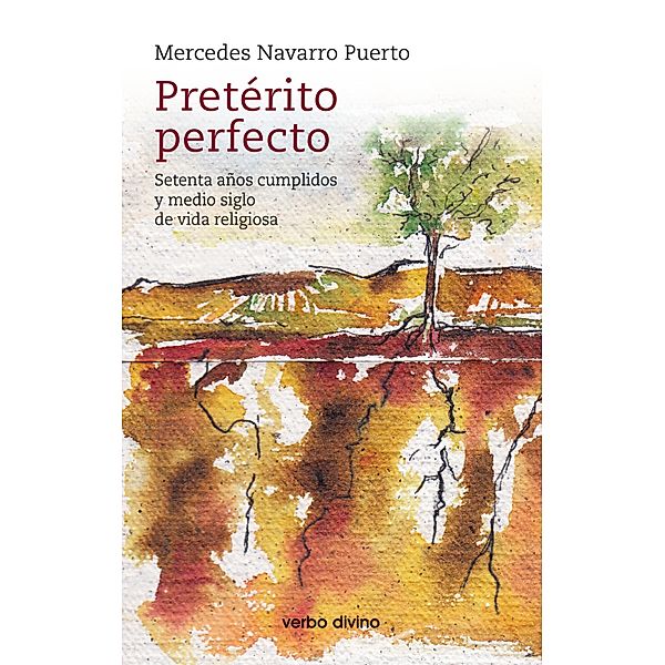 Pretérito perfecto / Surcos, Mercedes Navarro Puerto