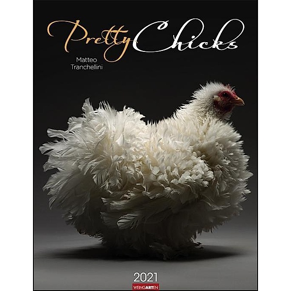 Pretty Chicks 2021, Matteo Tranchellini
