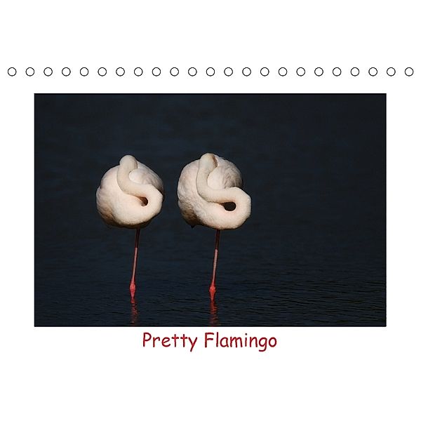 Pretty Flamingo (Tischkalender 2018 DIN A5 quer), J. R. Bogner