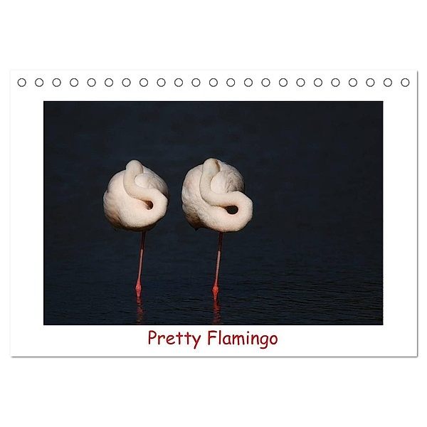Pretty Flamingo (Tischkalender 2024 DIN A5 quer), CALVENDO Monatskalender, J. R. Bogner
