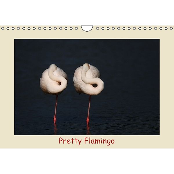 Pretty Flamingo (Wandkalender 2014 DIN A4 quer), J. R. Bogner