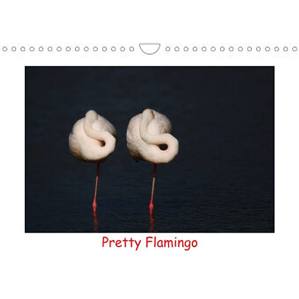 Pretty Flamingo (Wandkalender 2022 DIN A4 quer), J. R. Bogner