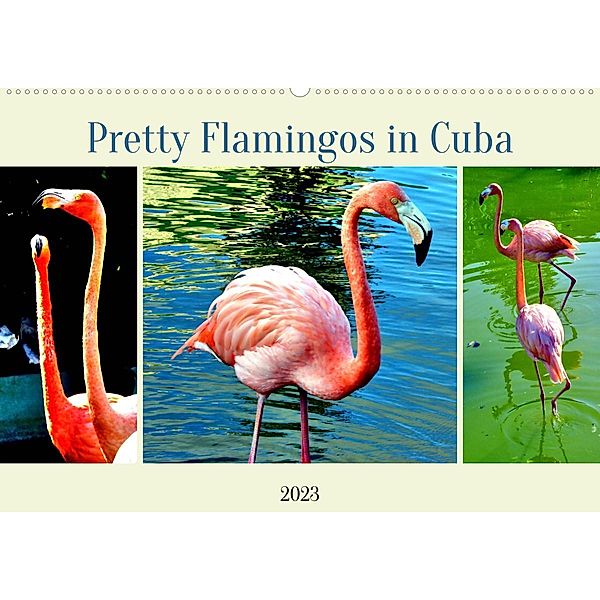 Pretty Flamingos in Cuba (Wandkalender 2023 DIN A2 quer), Henning von Löwis of Menar, Henning von Löwis of Menar