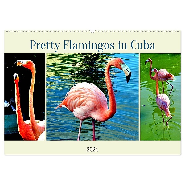 Pretty Flamingos in Cuba (Wandkalender 2024 DIN A2 quer), CALVENDO Monatskalender, Henning von Löwis of Menar
