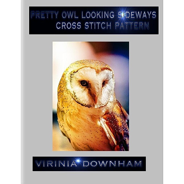 Pretty Owl Looking Sideways Cross Stitch Pattern, Virinia Downham