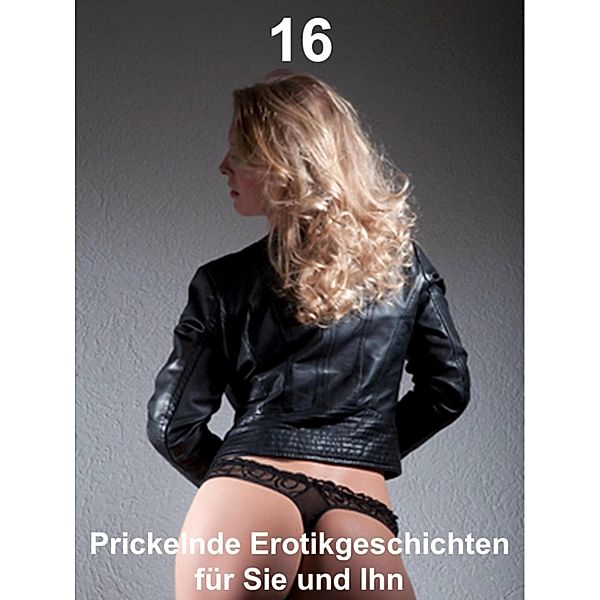 Prickelnde Erotikgeschichten für Sie und Ihn 16 / Prickelnde Erotikgeschichten für Sie und Ihn Bd.16, Sonja König