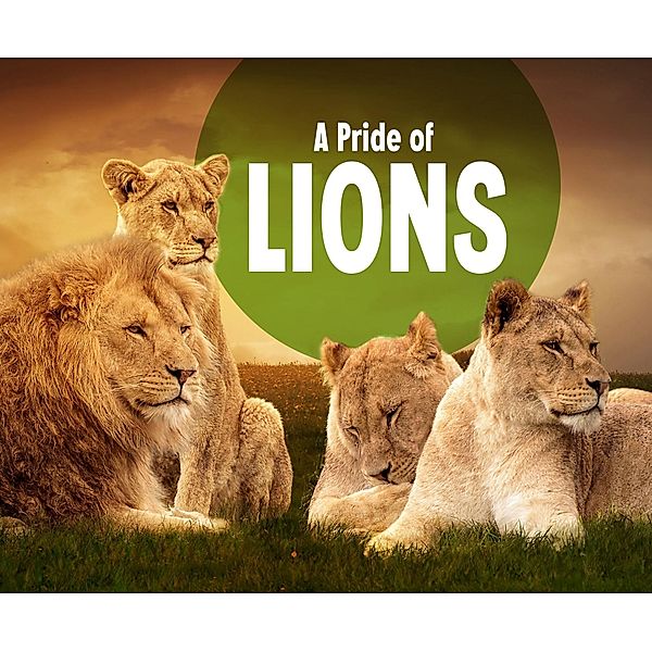 Pride of Lions / Raintree Publishers, Amy Kortuem