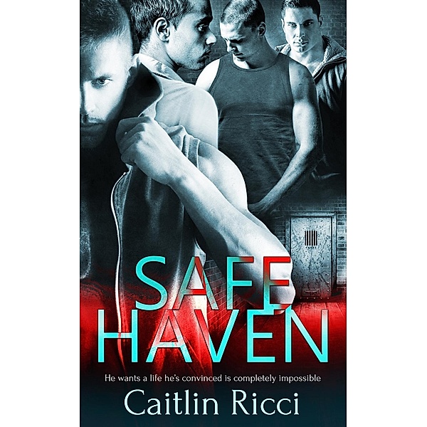 Pride Publishing: Safe Haven, Caitlin Ricci