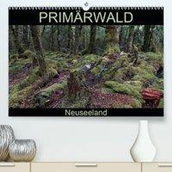 Primärwald - Neuseeland (Premium-Kalender 2020 DIN A2 quer)