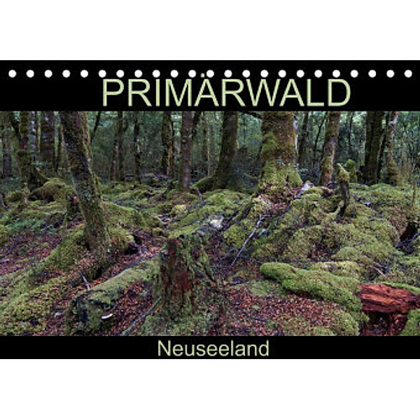 Primärwald - Neuseeland (Tischkalender 2022 DIN A5 quer), Flori0