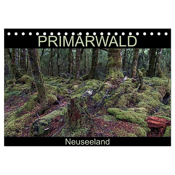 Primärwald - Neuseeland (Tischkalender 2024 DIN A5 quer), CALVENDO Monatskalender, Flori0