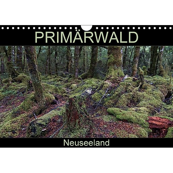 Primärwald - Neuseeland (Wandkalender 2018 DIN A4 quer), Flori0