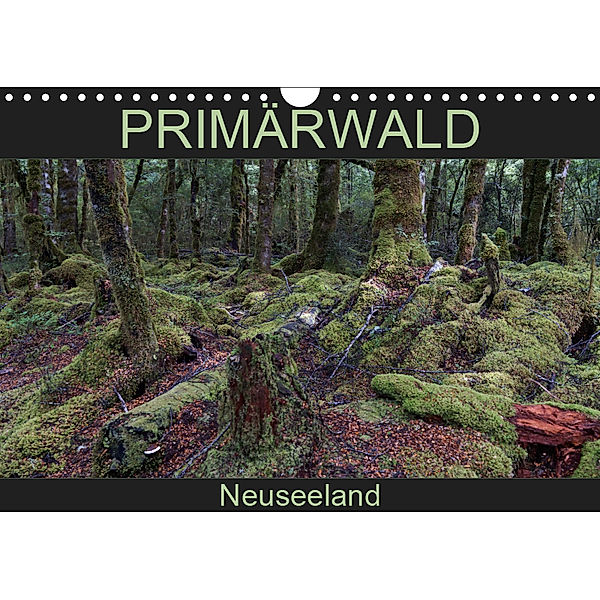 Primärwald - Neuseeland (Wandkalender 2019 DIN A4 quer), Flori0