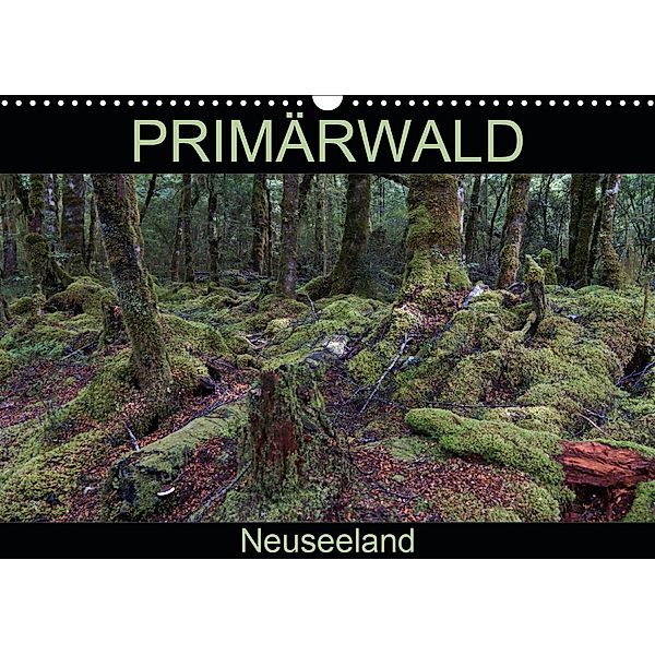 Primärwald - Neuseeland (Wandkalender 2020 DIN A3 quer)
