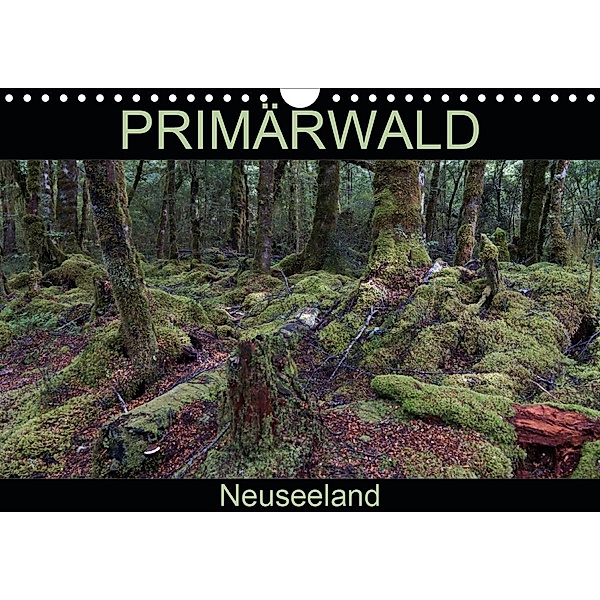 Primärwald - Neuseeland (Wandkalender 2021 DIN A4 quer), Flori0