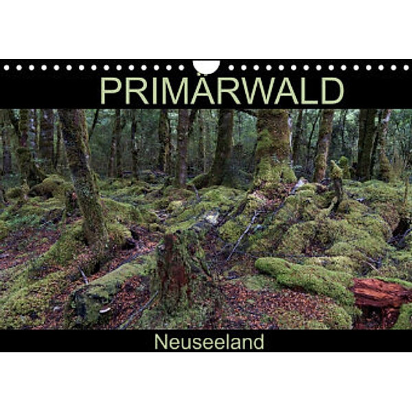 Primärwald - Neuseeland (Wandkalender 2022 DIN A4 quer), Flori0