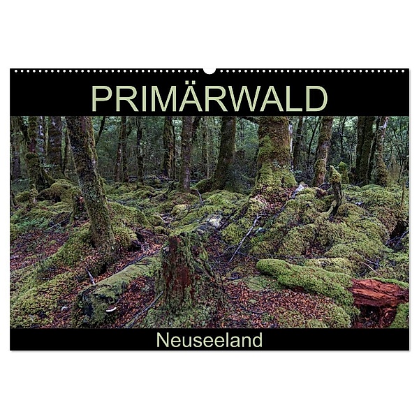 Primärwald - Neuseeland (Wandkalender 2024 DIN A2 quer), CALVENDO Monatskalender, Flori0