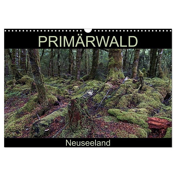Primärwald - Neuseeland (Wandkalender 2024 DIN A3 quer), CALVENDO Monatskalender, Flori0