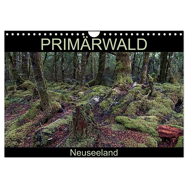 Primärwald - Neuseeland (Wandkalender 2024 DIN A4 quer), CALVENDO Monatskalender, Flori0