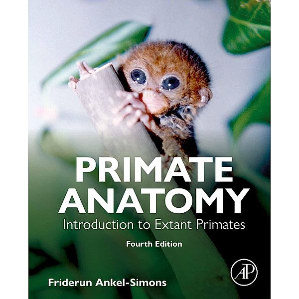 Primate Anatomy, Friderun Ankel-Simons