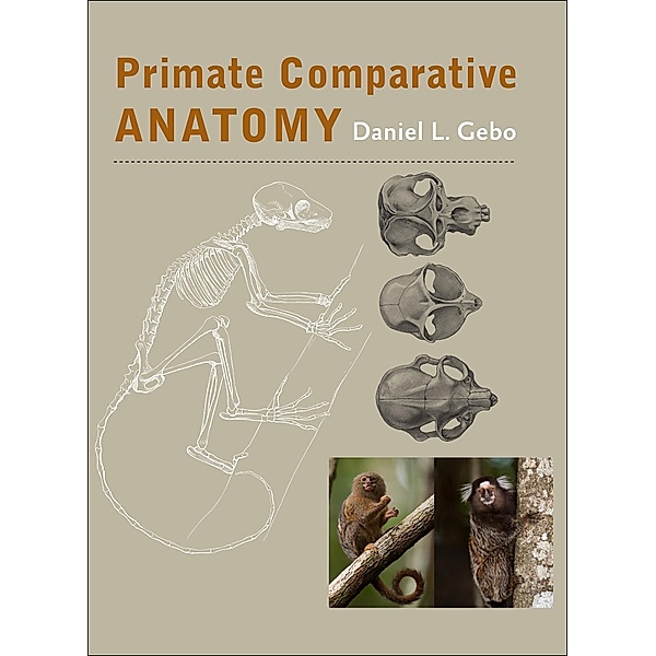 Primate Comparative Anatomy, Daniel L. Gebo