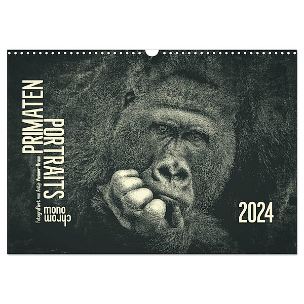 PRIMATEN PORTRAITS - monochrom (Wandkalender 2024 DIN A3 quer), CALVENDO Monatskalender, Antje Wenner-Braun