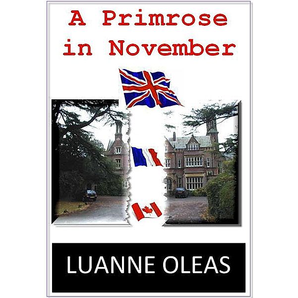 Primrose in November, Luanne Oleas