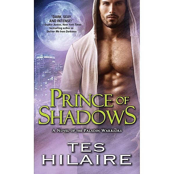 Prince of Shadows / Paladin Warriors Bd.3, Tes Hilaire