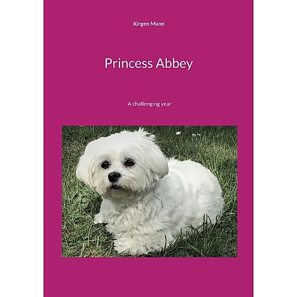 Princess Abbey / Princess Abbey Bd.1-4, Jürgen Mann