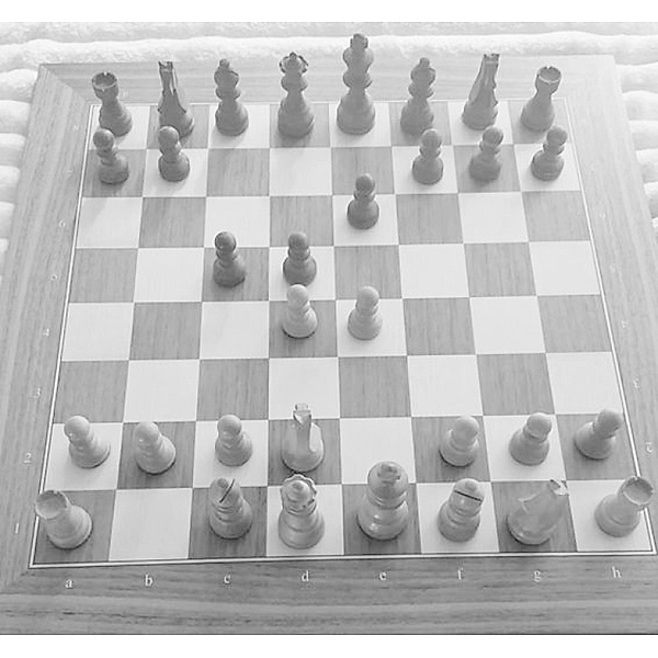 Prinzipien des Schachspiels, Roman Hirt