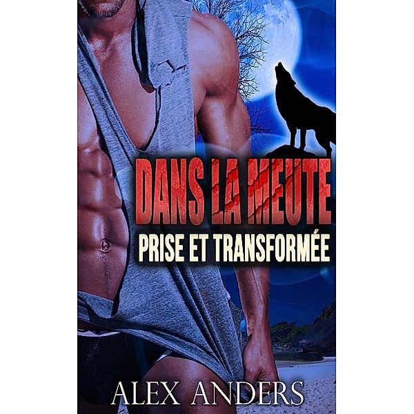 Prise et Transformée, Alex Anders