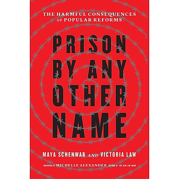 Prison by Any Other Name, Maya Schenwar