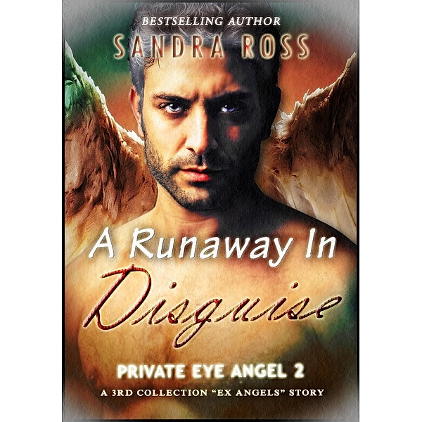 Private Eye Angel: A Runaway In Disguise (Private Eye Angel, #2), Sandra Ross