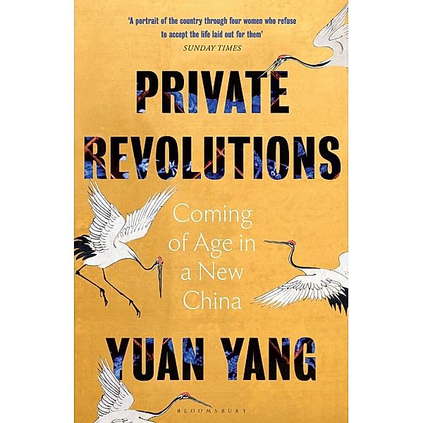 Private Revolutions, Yuan Yang