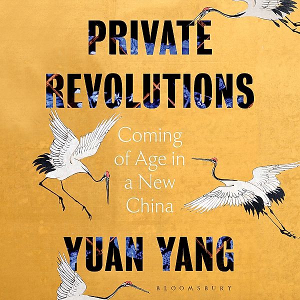 Private Revolutions, Yuan Yang