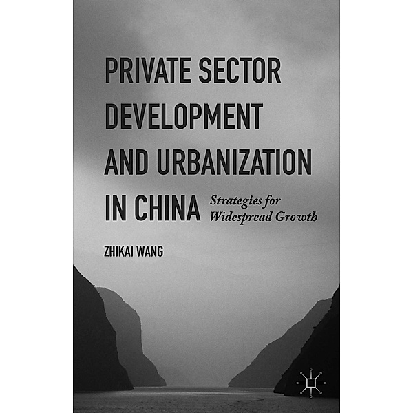 Private Sector Development and Urbanization in China, Zhikai Wang