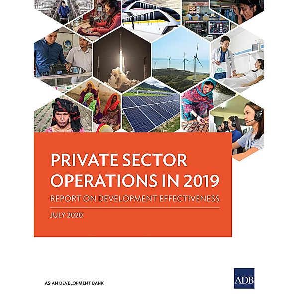 Private Sector Operations in 2019 / Development Effectiveness Reports: Private Sector Operations
