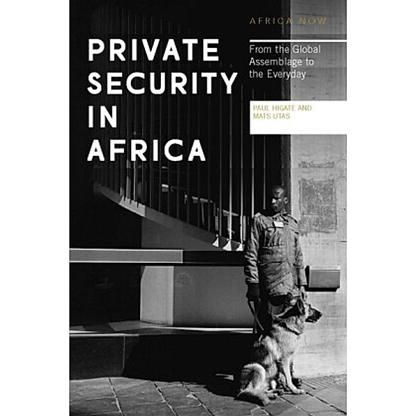 Private Security in Africa