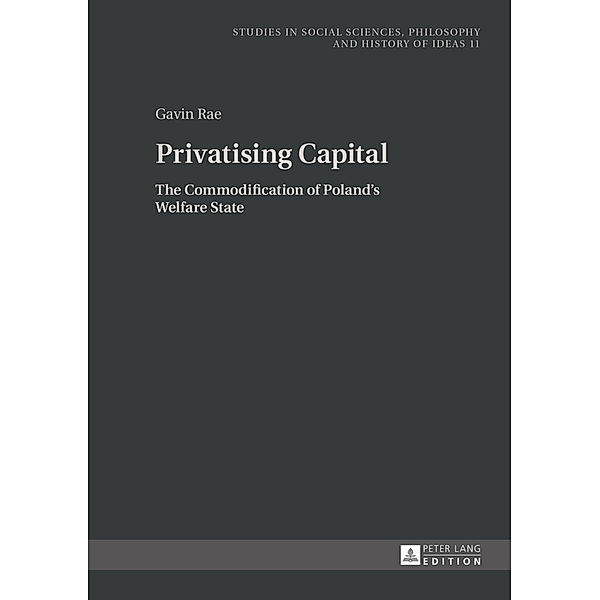 Privatising Capital, Gavin Rae