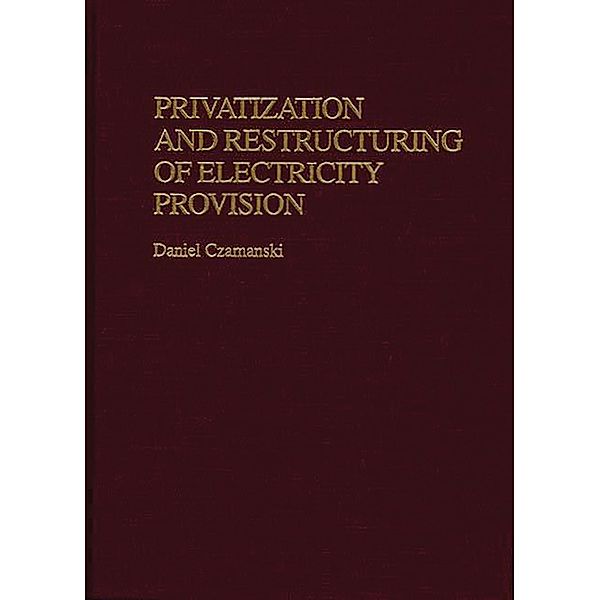 Privatization and Restructuring of Electricity Provision, Daniel Czamanski