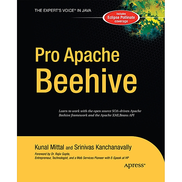 Pro Apache Beehive, Srinivas Kanchanavally, Kunal Mittal