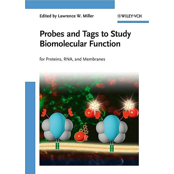 Probes and Tags to Study Biomolecular Function