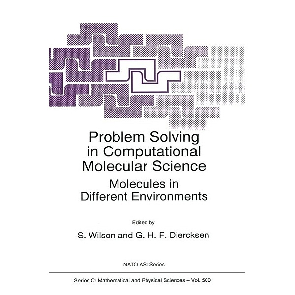 Problem Solving in Computational Molecular Science / Nato Science Series C: Bd.500