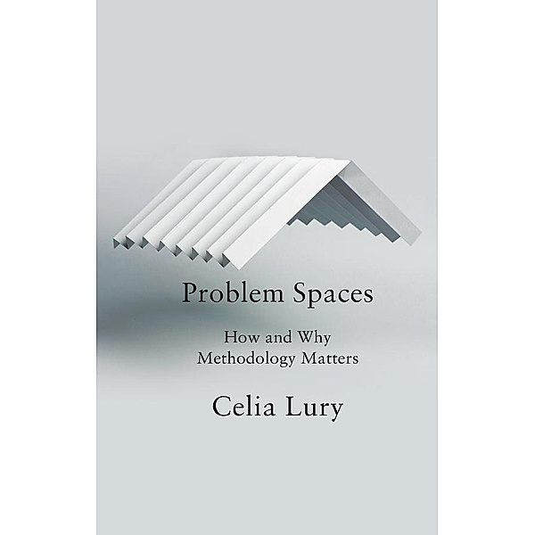 Problem Spaces, Celia Lury
